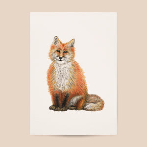 Poster vos - Art print