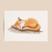 Afbeelding in Gallery-weergave laden, Poster slapend vosje - Art print
