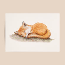 Afbeelding in Gallery-weergave laden, Kraamcadeau set bosdieren - Small
