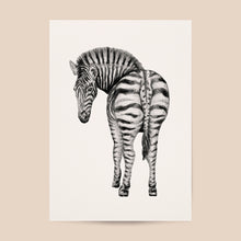 Lade das Bild in den Galerie-Viewer, zebra painting watercolour watercolor aquarel World of Mies
