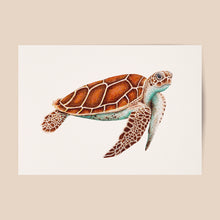Afbeelding in Gallery-weergave laden, Poster zeeschildpad - Art print
