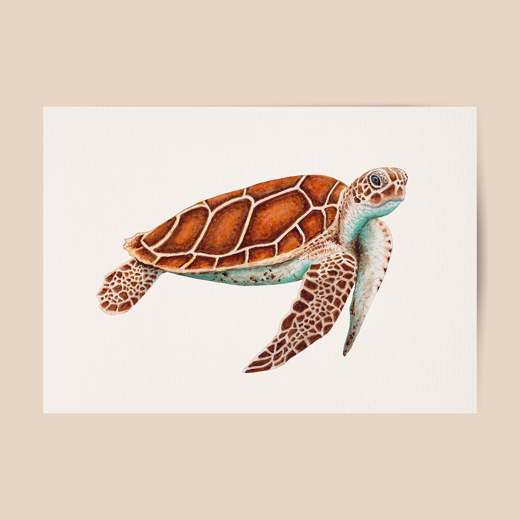Poster zeeschildpad - Art print