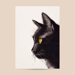 Poster zwarte kat - Art print