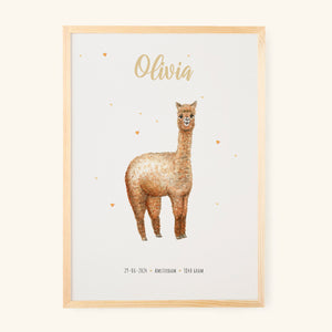 Poster alpaca - Art print