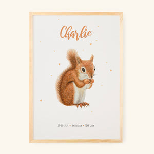 Poster squirrel