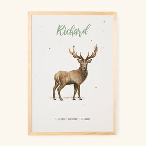 Poster Deer