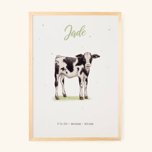 Poster baby calf