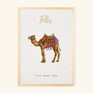 Poster camel