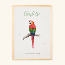 Afbeelding in Gallery-weergave laden, Poster papegaai - Art print
