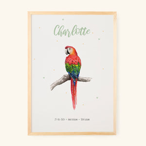 Geboorteposter papegaai - gepersonaliseerd - A3