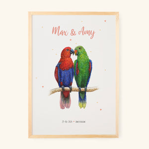 Poster 2 parrots