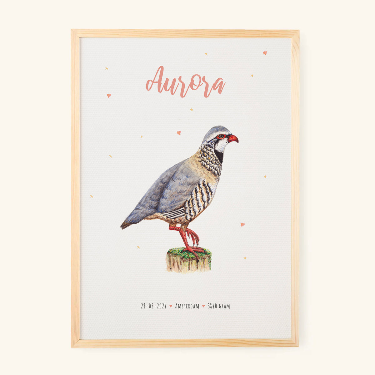 Poster rode patrijs - Art print