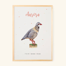 Load image into Gallery viewer, Poster red partridge

