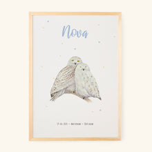 Load image into Gallery viewer, Poster snowy owls 
