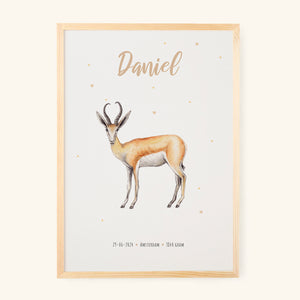 Birth poster springbok - personalised - A3