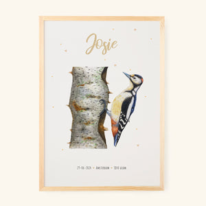 Poster woodpecker 