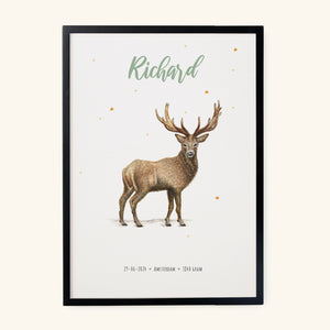 Poster Deer