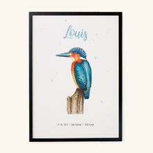 Load image into Gallery viewer, Poster kingfisher
