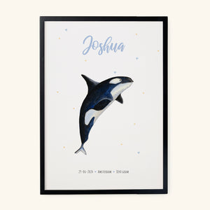 Poster orka - Art print