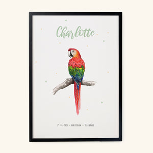 Poster papegaai - Art print