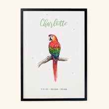 Afbeelding in Gallery-weergave laden, Geboorteposter papegaai - gepersonaliseerd - A3
