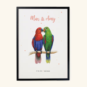 Poster 2 papegaaien - Art print