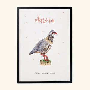 Poster red partridge