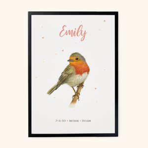Poster robin