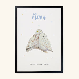 Poster snowy owls 
