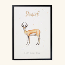 Load image into Gallery viewer, Poster springbok
