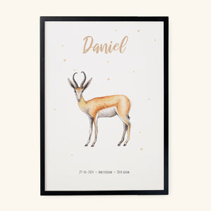 Poster springbok