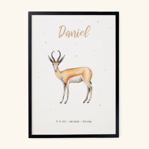 Birth poster springbok - personalised - A3