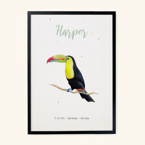 Poster toekan - Art print