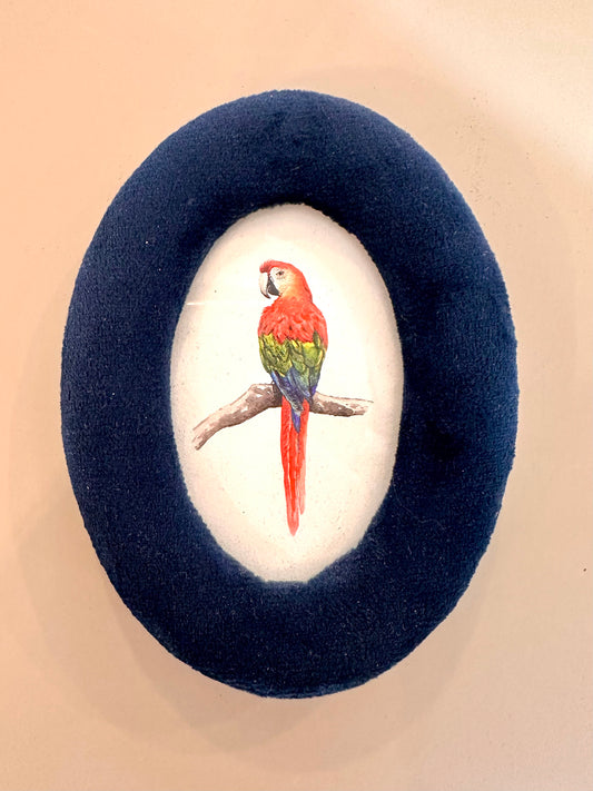 Dark blue velvet frame with parrot art print