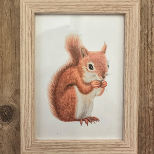 Blankhouten 13x18 lijstje met eekhoorn art print