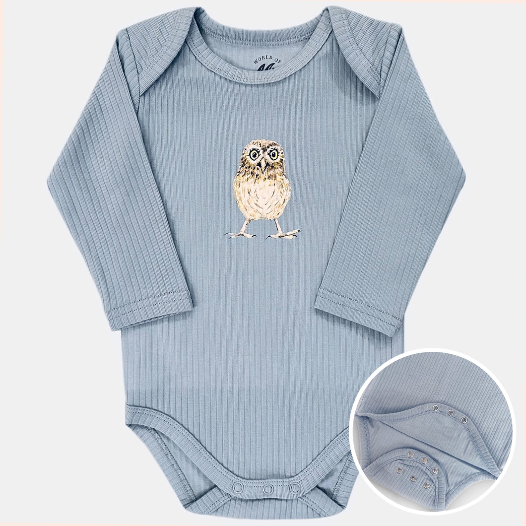 Meegroeiromper uiltje - soft blue longsleeve
