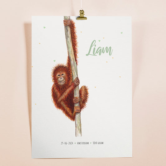 Birth poster monkey - personalized - A3