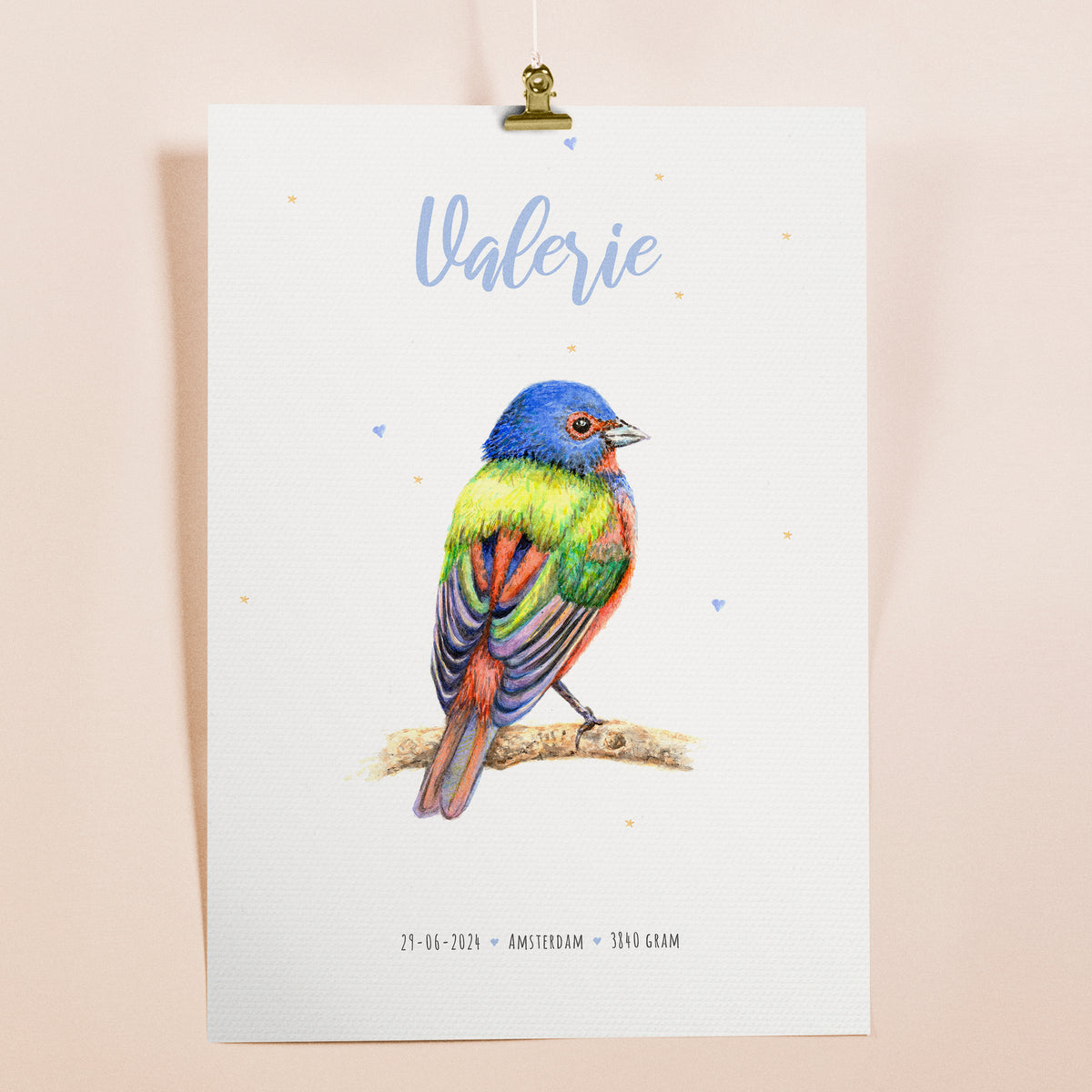 Poster gekleurd vogeltje - Art print