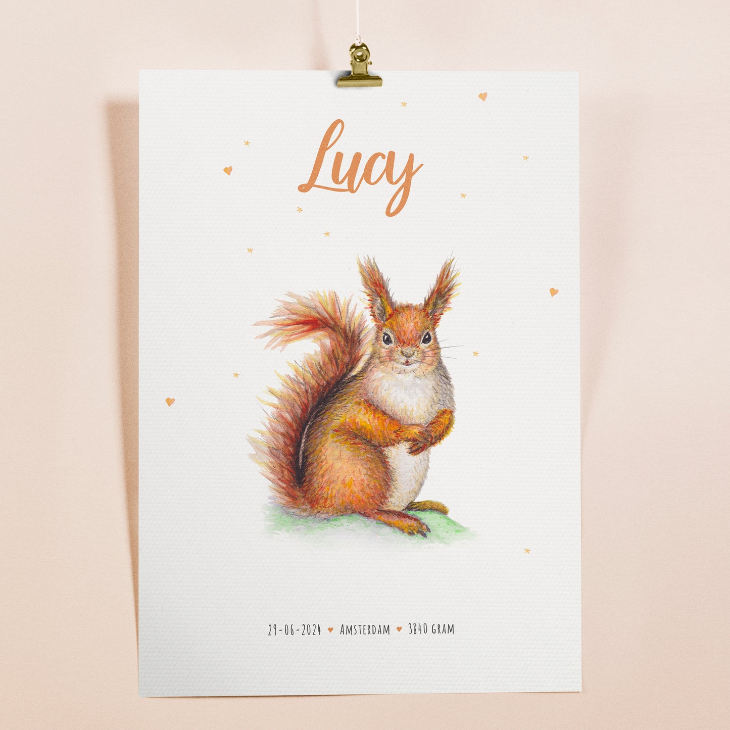 Squirrel poster