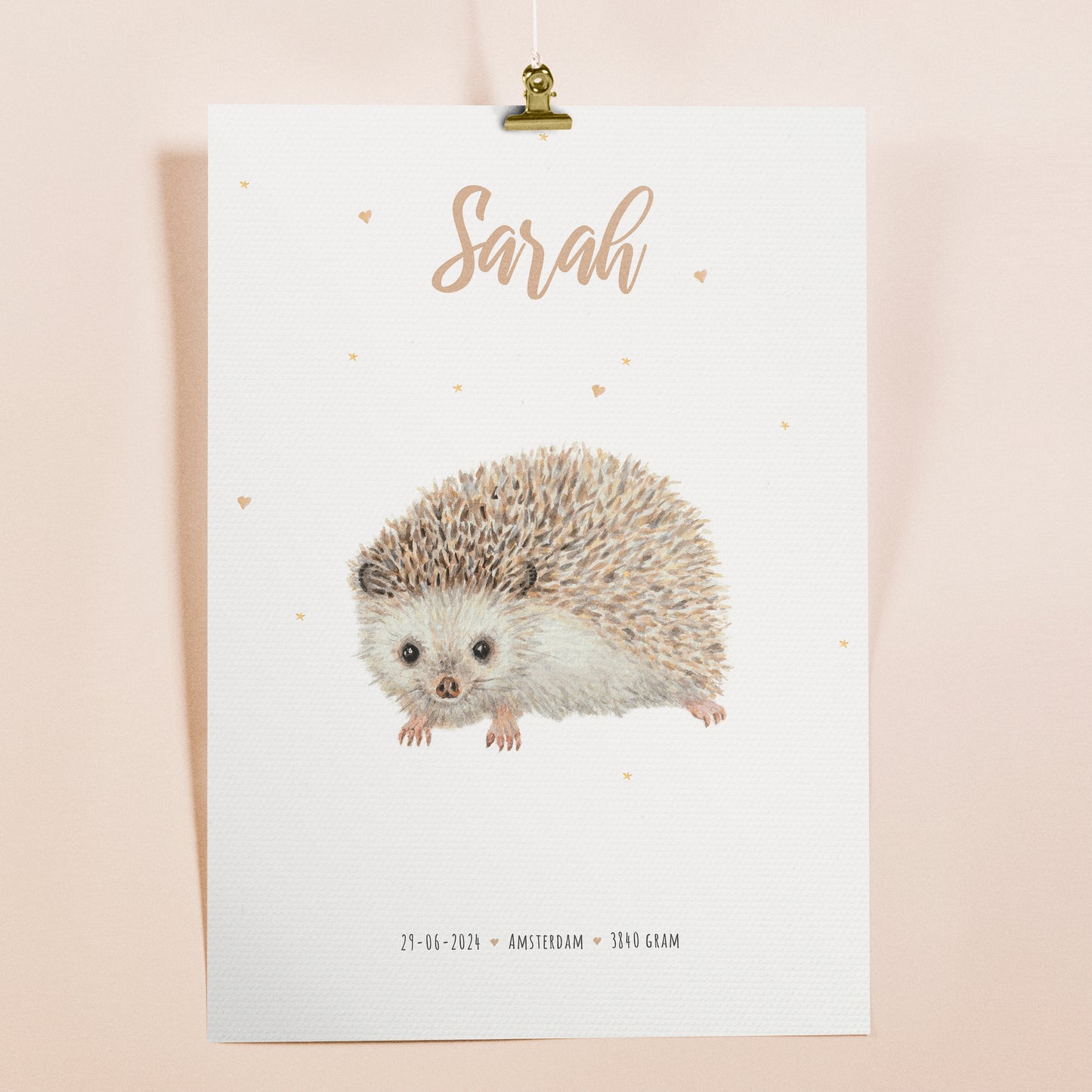 Poster hedgehog - Art print
