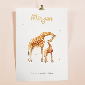 Poster giraffe