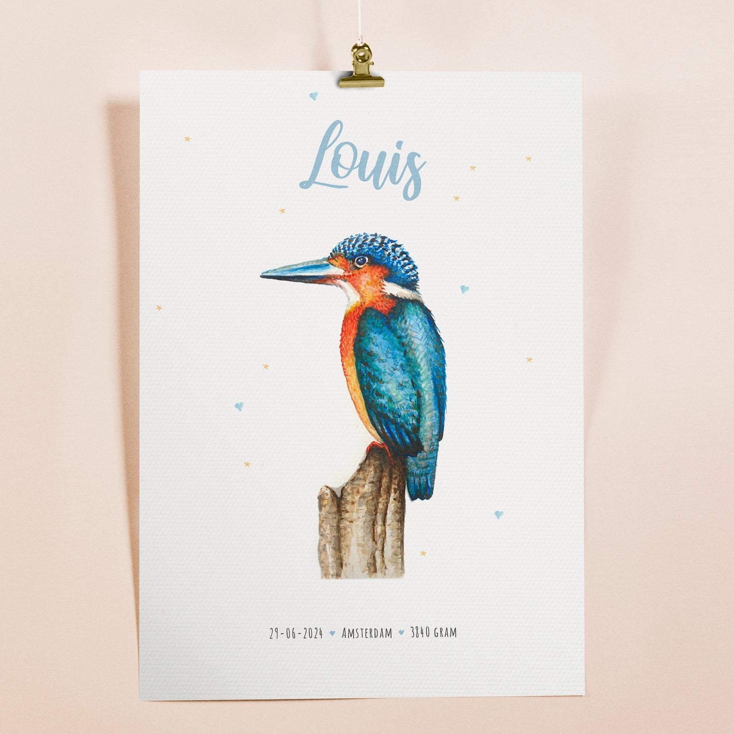 Poster ijsvogel - Art print