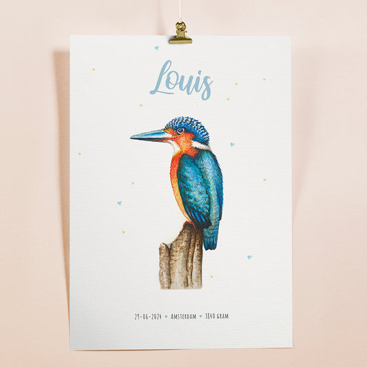 Birth poster kingfisher - personalized - A3