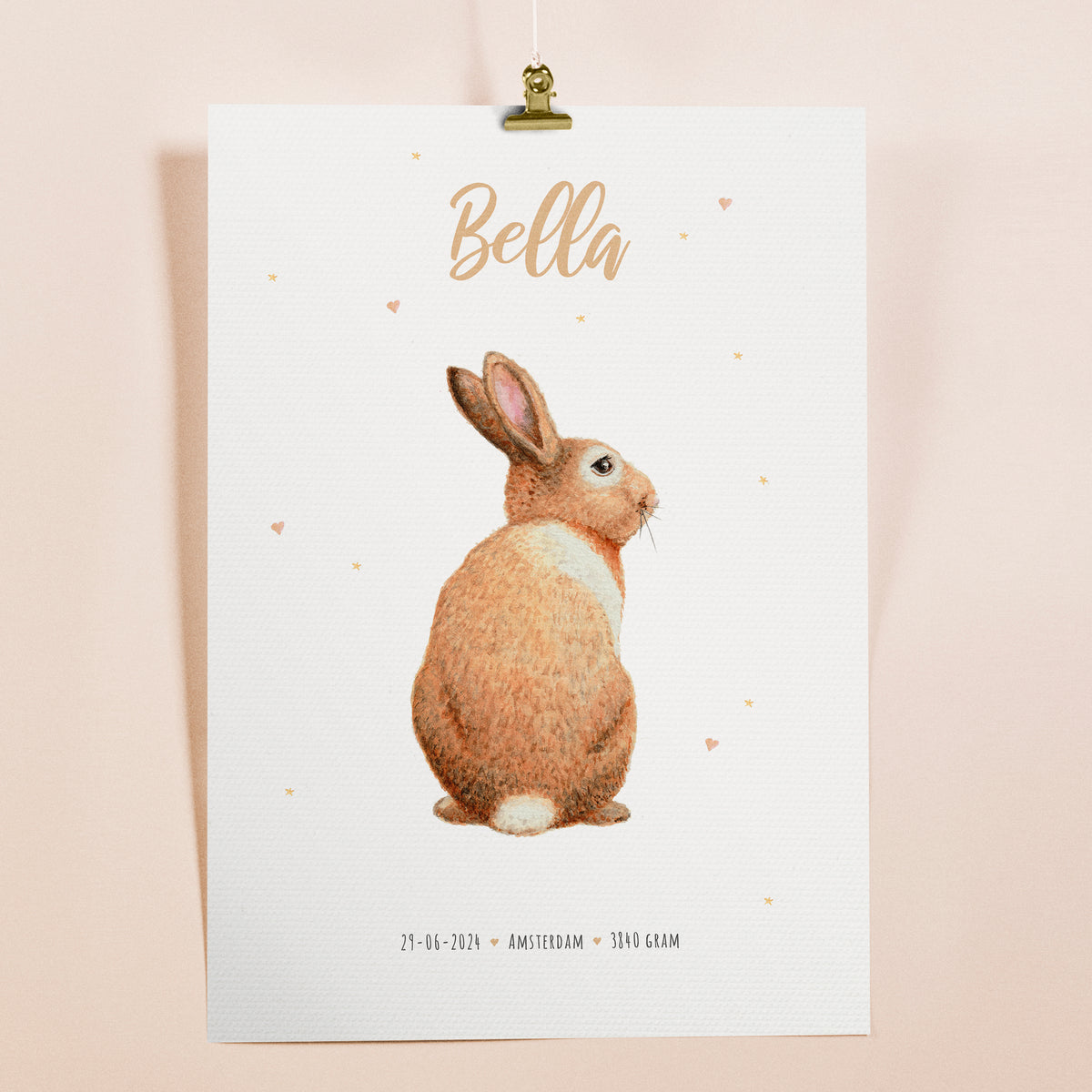 Tierposter mit Kaninchen