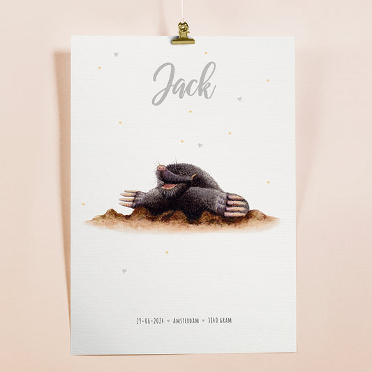 Birth poster mole - personalized - A3