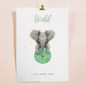 Poster olifant - Art print
