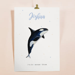 Poster orka - Art print