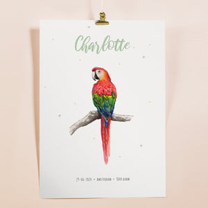 Poster parrot