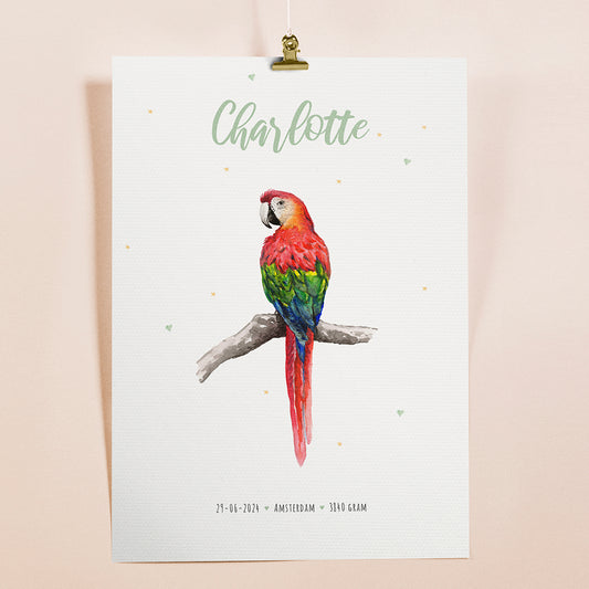 Birth poster parrot - personalized - A3