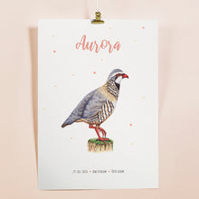 Load image into Gallery viewer, Birth poster red partridge - personalised - A3

